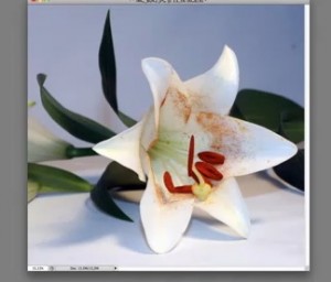 how-to-create-a-basic-photoshop-action01