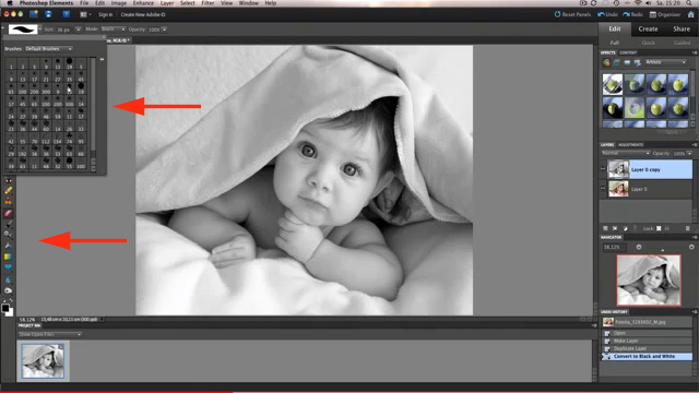 black-white005 Phoyoshop Elements black/white