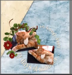 create-a-basic-layout09