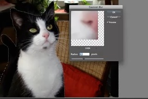 soft-focus-effect04
