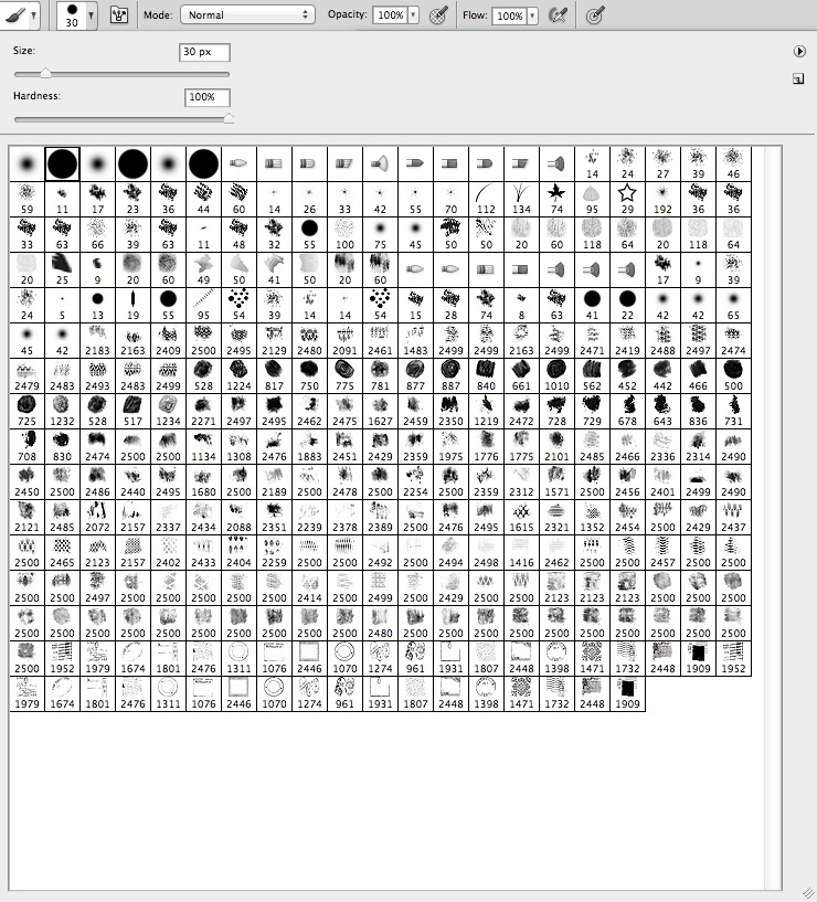 What are Photoshop brushes?