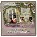 Digital Scrapbooking Kits - a DVD for digital scrapbooking beginners
