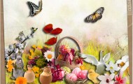 md-spring-awakening