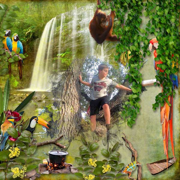 SKU_1007_Rainforest_Bundle_Layout_01