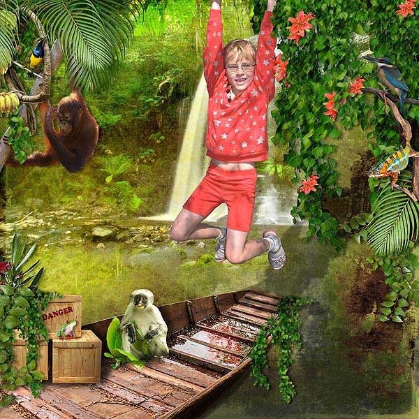 SKU_1007_Rainforest_Bundle_Layout_05