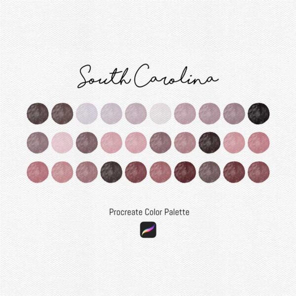 South Carolina Color Palette for Procreate & Graphic Design Programs - Image 2