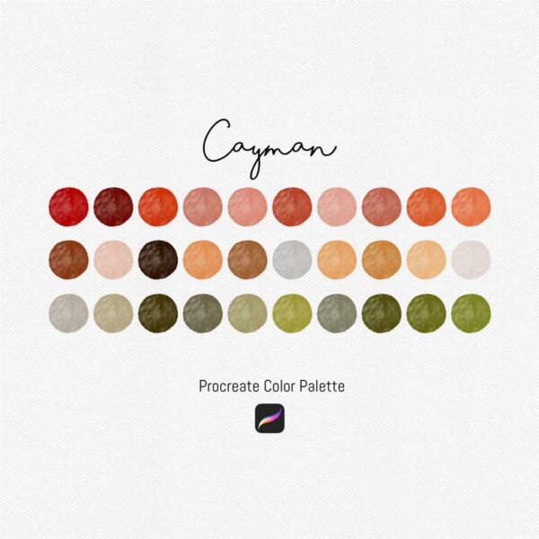 Cayman Color Palette for Procreate and Graphic Design - Image 2